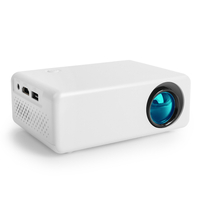 Mini Media Märchenprojektor LED iPix L01