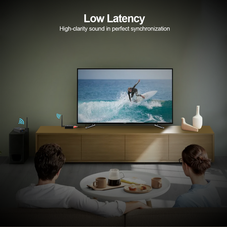 Transmiter audio HiFi 2.4GHz 2w1 1Mii RT5066