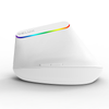 Kabellose vertikale Maus Delux M618C RGB weiß