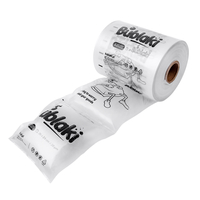 Airbags – Füller Bublaki B2020