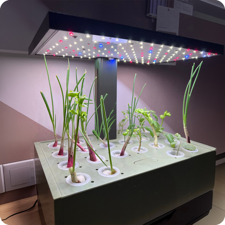 Inteligentna doniczka 10l SMART Garden biało - szara z ekranem LCD na ulubione rośliny przez cały rok Spacetronik SPGC20