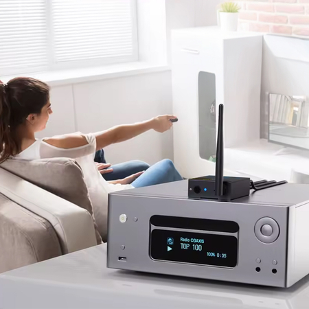 Transmiter audio HiFi 2.4GHz 2w1 1Mii RT5066Pro