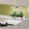 Blumentopf mit LCD-Anzeige SPGC10B