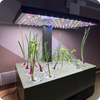 Inteligentna doniczka 10l SMART Garden zielona z ekranem LCD na ulubione rośliny przez cały rok Spacetronik SPGC20